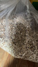 硃碌科 有机薏米3斤装 东北杂粮小粒薏米薏苡仁薏仁米 夏季粥米原料 实拍图