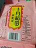 十月稻田 紫米 2斤 紫糯米 云南紫米 五谷杂粮米 含花青素 紫米露 实拍图
