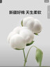 LOVO罗莱家纺 全棉四件套纯棉斜纹床单被套枕套床上用品220*240cm 实拍图