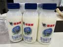 香满楼 牧场鲜奶组装250ml*3瓶  3.5g/100ml蛋白质 巴氏杀菌 早餐奶 实拍图