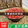 红枸杞子宁夏新货无熏硫中宁头茬枸杞干果礼盒正宗大颗粒泡茶养生 特级红枸杞 中果 10g*2袋 实拍图