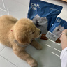 纯福通用型金毛拉布拉多边牧中大型犬幼犬成犬专用酶解冻干狗粮囤货装 中大型犬粮2.5kg【单包装】 实拍图