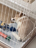 贵为（GiGwi）狗狗玩具中大型犬户外训练飞环柔软高弹拔河互动可浮水耐咬耐磨 实拍图