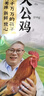 杨博士 皖南散养大公鸡 单只净重2.6斤*2只 生鲜鸡肉土鸡含鸡胗源头直发 实拍图