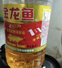 金龙鱼 食用油 黄金比例食用调和油 5L 实拍图