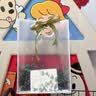 范爷家5个礼品袋透明手提袋拉菲草新婚礼物伴手礼包装袋公司活动中秋节 实拍图