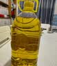 百威红罐啤酒淡色拉格330ml*24听整箱装京东自营端午送礼 实拍图