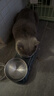 BOTH 烘焙猫粮 幼猫成猫全阶段 鸭肉梨泪痕管理 猫粮试吃200g 实拍图