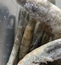 工作细胞 第一辑2册 全彩科普绘本 小学生一二三四年级生物科普百科课外阅读书籍 实拍图