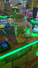 【京东物流】水杯冰霸吸管杯高颜值学生茶水分离大容量杯子 肚肚杯1个-浅绿色 实拍图
