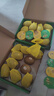 佳沛（zespri）新西兰金果10粒巨大果单果146-175g 端午节礼物水果礼盒 猕猴桃 实拍图