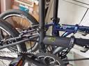 大行（DAHON）折叠自行车20英寸8级变速经典P8单车KBC083 渐变蓝经典版--京仓 实拍图