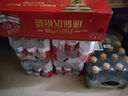 百威啤酒mini红罐淡色拉格255ml*24小罐整箱装京东自营喜酒端午送礼 实拍图