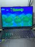 STEAM正版Steam游戏永久入库 全DLC 国区全球区CDK激活 PC电脑游戏 泰拉瑞亚 终极版（游戏本体+全DLC+更新） 实拍图