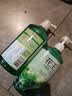 花王（KAO）洗发水750ml 薄荷洗头水冰爽控油蓬松止痒去油男女士洗发露洗发液 实拍图