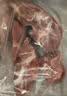 肉鲜厨师 满肉牛脊骨原切（70%带肉） 净重2斤 牛脖骨蝎子冷冻龙骨煲汤 实拍图