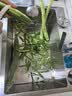 华帝（VATTI）304不锈钢水槽大单槽厨房洗菜盆一体盆家用洗菜池水池盆 S3系列 实拍图