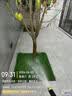 漫德莱洗车高压水枪花园浇花浇水刷车神器家用水管软管喷头20米 实拍图