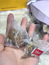 采善堂白云山罗汉果胖大海茶蒲公英菊花吸烟咽炎护嗓化痰清肺润喉养生茶 实拍图