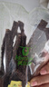 科尔沁超干风干牛肉干 孜然味300g净含量袋装 休闲零食肉干肉脯内蒙特产 实拍图