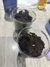 IAM City Farmer向日葵儿童种植盆栽种子学生植物观察窗科学手工实验diy植物10033 实拍图