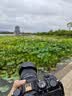 适马（SIGMA）【限时抢购】18-50mm F2.8 DC DN｜Contemporary 半画幅微单 1850标准变焦镜头  （富士卡口） 实拍图