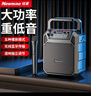纽曼（Newmine）K503无线蓝牙音箱户外大音量广场舞音响手提便携式小型家用K歌音乐播放器地摊摆摊收款喇叭 单麦版 实拍图