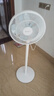 格力（GREE）【花精灵Se】一级能效直流变频轻音节能遥控电风扇卧室落地扇静音家用风扇 实拍图