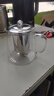 暮云泡茶壶加厚玻璃茶壶大容量办公室茶具养生高硼硅耐高温 450ml 实拍图