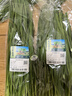 有机韭菜 250g 实拍图