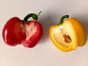 彩椒五彩甜椒水果圆椒不辣太空椒灯笼椒新鲜可即食减脂蔬菜 山东彩椒红+黄5斤净重4.6斤 实拍图