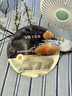 维特丝鱼子酱面膜抗皱紧致抗衰老补水保湿淡纹胶原蛋白去黄提亮肤色男女 实拍图
