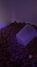 伯纳天纯鸡肉冻干牛肉粒三拼全价狗粮2kg/4斤 实拍图
