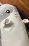 熊猫熊猫咪抱枕玩偶毛绒玩具女孩公仔大号布娃娃女生陪睡觉抱枕夹腿长条 实拍图