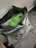 佳乐滋进口宠物尿垫用品猫狗尿垫尿片尿布尿不湿多只猫用 无香型8片 实拍图