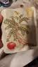 忆江南苹果黄芪水麦冬须根枸杞茶150g补茶包气血养生茶独立包装 实拍图
