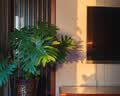 京东家政清洗 中央空调5组全拆洗（进+出风口）家电清洗上门服务 实拍图
