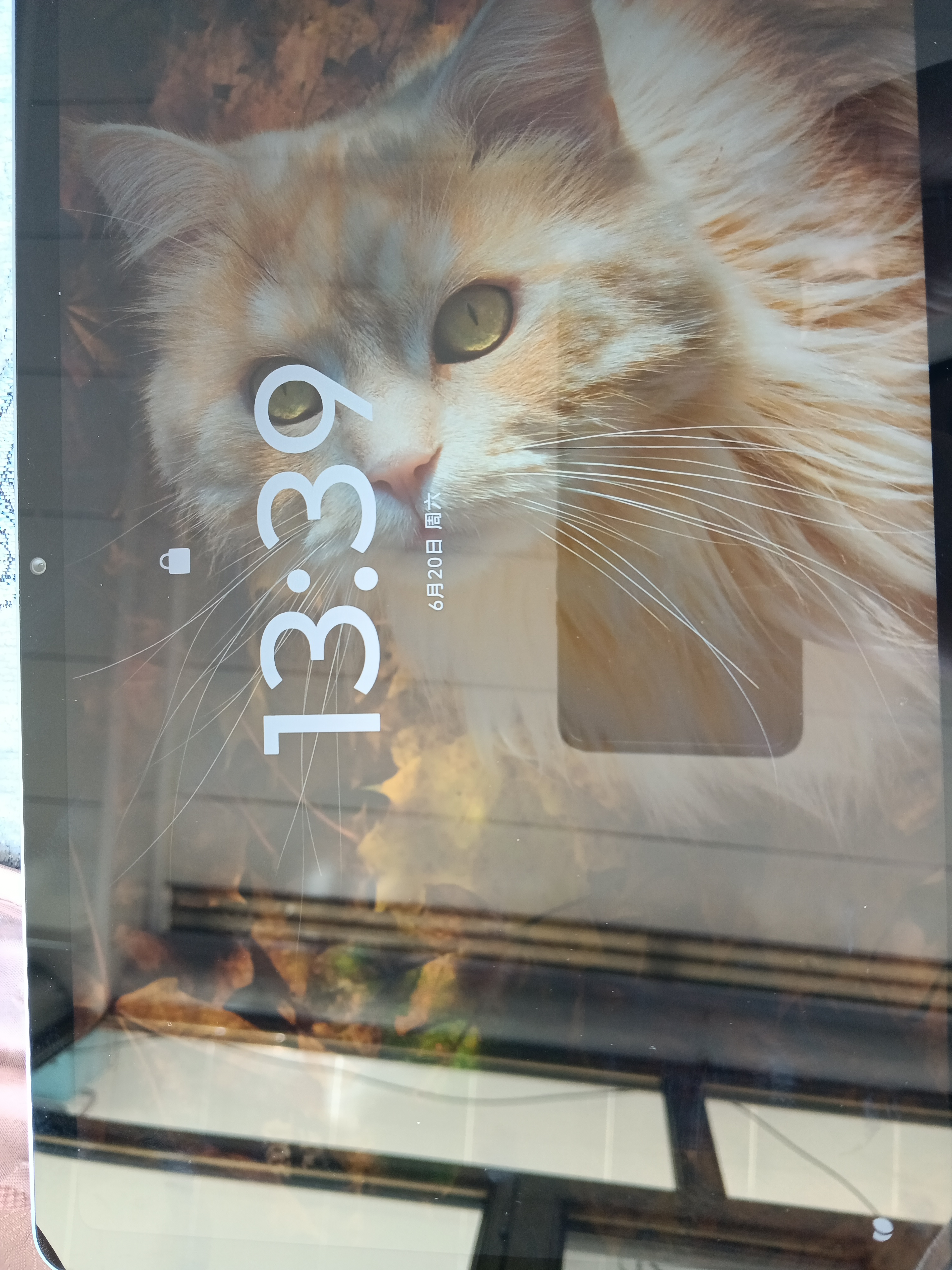 联想（Lenovo）小新Pad11英寸AI学习办公平板电脑2.5K高清护眼高刷大屏娱乐影音6+128G青国家补贴学生教育优惠 实拍图