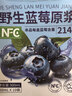 养益君100%NFC野生蓝莓原浆蓝莓汁果汁饮料纯果蔬汁果饮300ml 实拍图