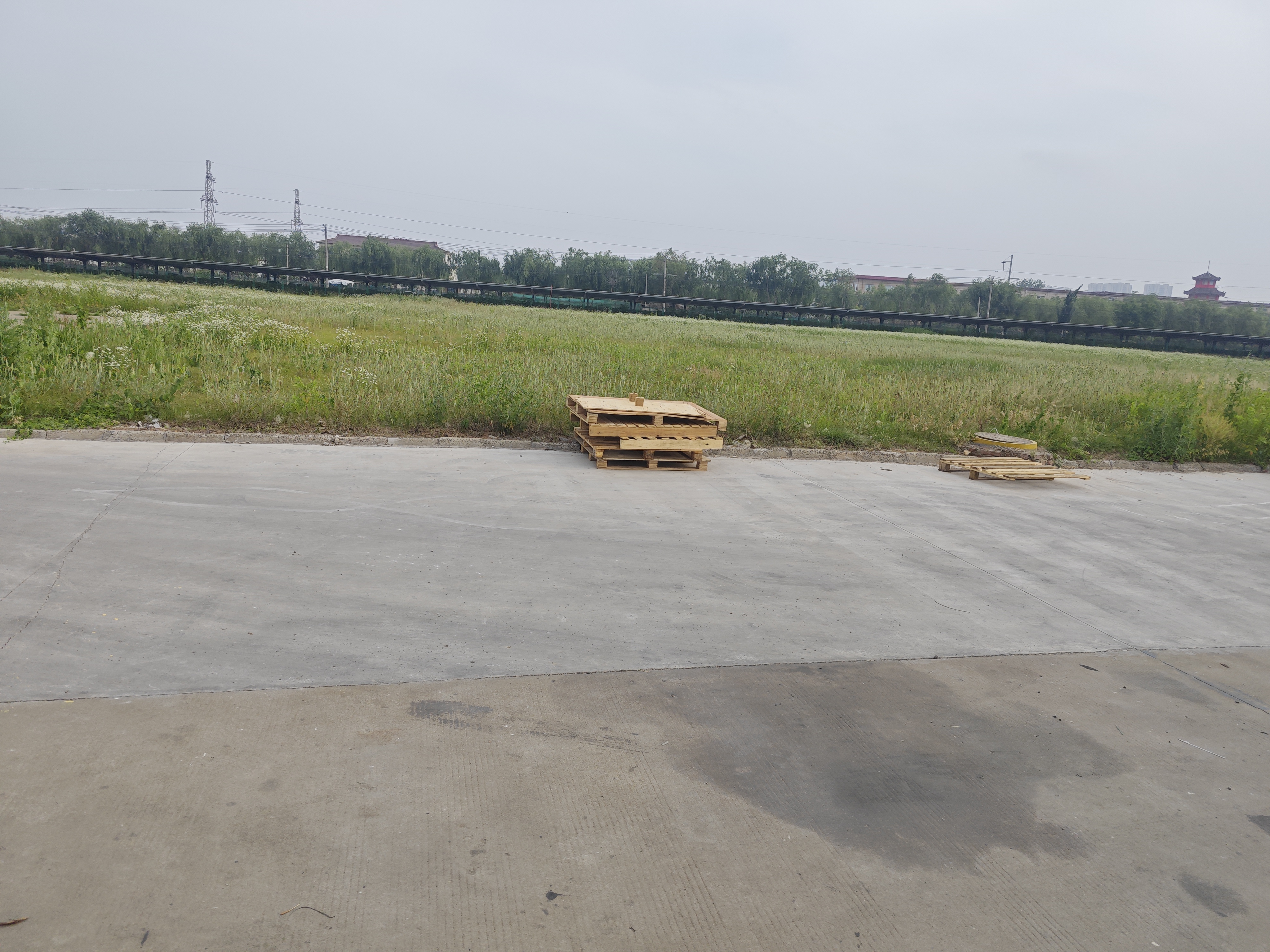 京东京造 保温杯 316不锈钢马克杯茶水分离男女办公室茶杯水杯子 400ml白 实拍图