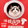 国潮中国毛毡手提宠物背包手提猫袋宠物袋手提包大容量便携 1个 实拍图