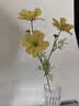 爱已装糖仿真花假花假绿植花瓶插花diy花束塑料花客厅摆件装饰花格桑花1束 实拍图