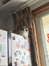 皇家幼猫奶糕猫粮 离乳期孕猫BK34通用粮 1-4月增强免疫亲肠胃助消化 【1-4月与孕期】BK34猫奶糕400g*4袋 实拍图