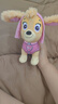 汪汪队立大功（PAW PATROL）毛绒玩具狗狗陪睡玩偶经典款天天站姿公仔男女孩儿童生日礼物 实拍图
