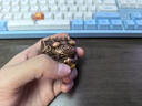 铜师傅《金韵天成十二生肖》真金鎏镀铜摆件家居装饰工艺品十二生肖之鸡 实拍图