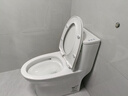 九牧（JOMOO）11173-2-1/31KD-3大力神家用马桶虹吸抗菌节水洁具305坑距 实拍图