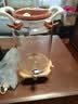 麦欧力（MYONLY）泡酒容器高档泡酒专用玻璃瓶装酒缸存酒坛子密封酒桶储药酒罐空瓶 【复购款】16斤升级瓷芯龙头竹架8L 实拍图