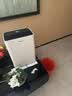 海信（Hisense）除湿机32升/天150㎡WIFI远程控制除湿器 回南天家用轻音抽湿器干衣净化地下室别墅抽湿机CF32BD/YW 实拍图