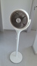 格力（GREE）【重磅新品】99%抗菌AI语音空气循环扇直流变频语音电风扇落地扇家用电扇负离子香薰FXDZ-20X82Ag5 实拍图