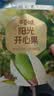 百草味开心果盐焗味100g 每日坚果干果休闲零食特产新老包装随机发 实拍图